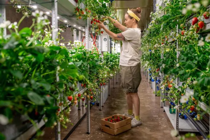 vertical farming