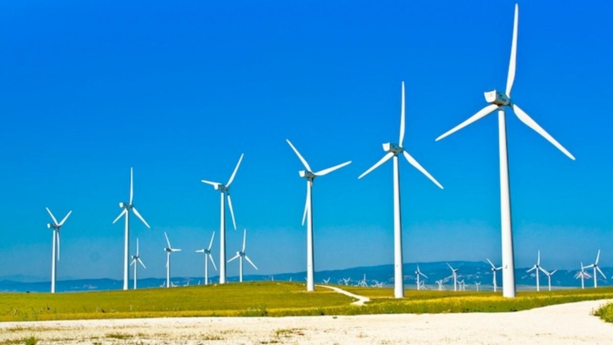 Parco eolico: impatto ambientale e sociale 5