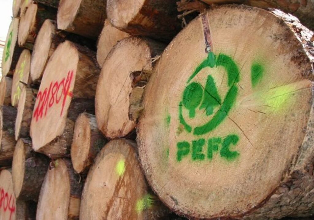 Gestione delle foreste sostenibile