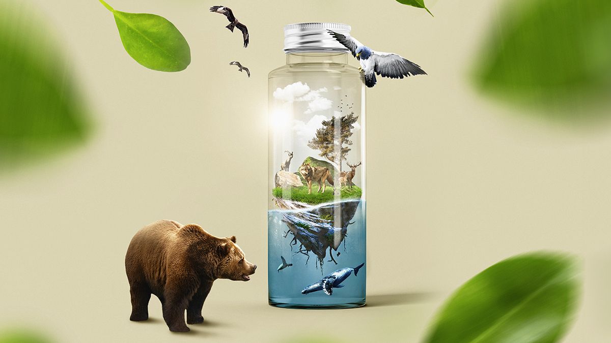 Principali minacce alla biodiversità e come contrastarle 5