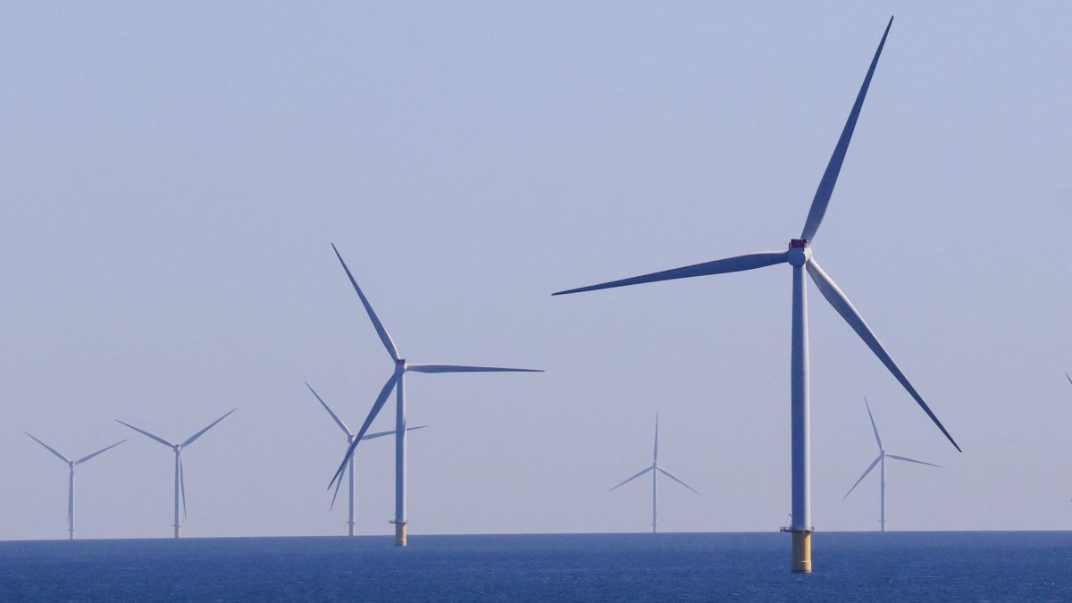 I 7 eventi del 2024, da Sinner campione del mondo all'inizio del Giubileo 8 I 7 eventi del 2024, da Sinner campione del mondo all'inizio del Giubileo 7