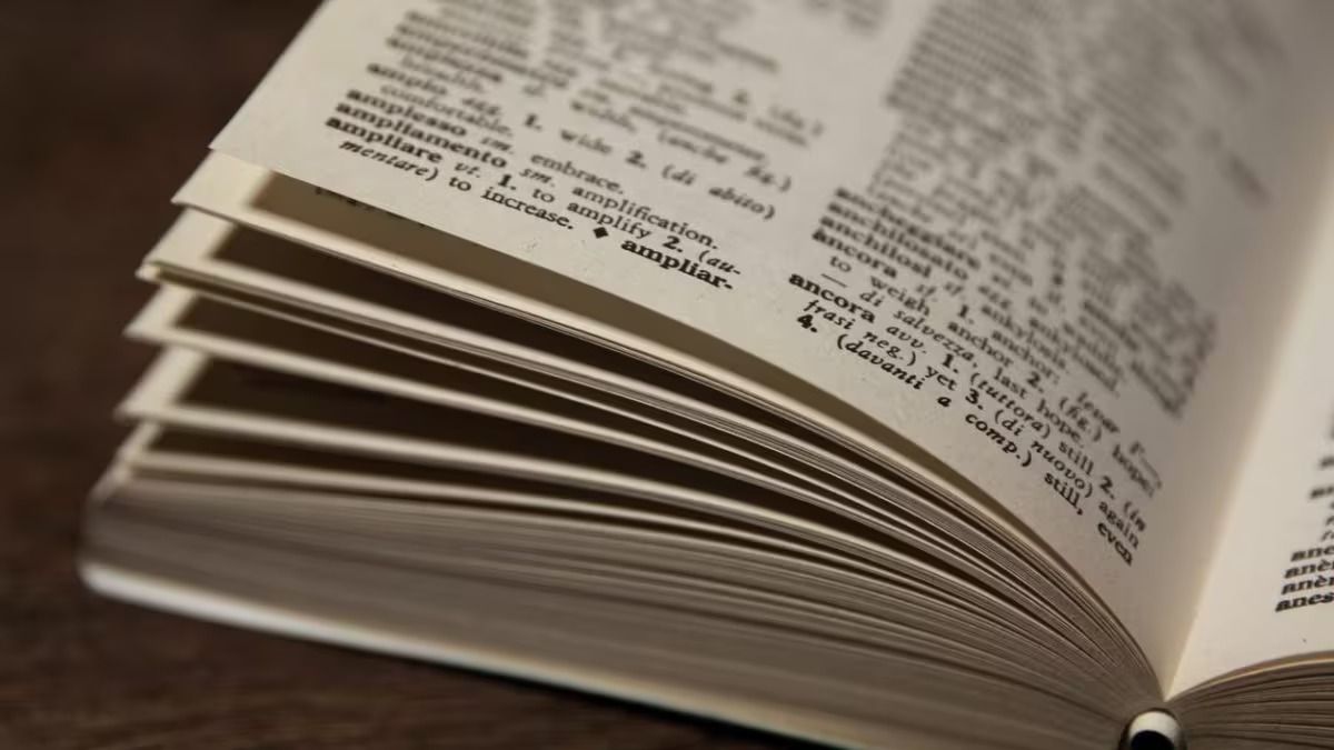 Per Treccani rispetto è la parola del 2024: quali sono i neologismi più usati? 3