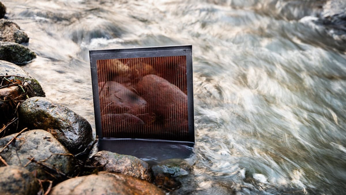 Celle solari sostenibili e riciclabili grazie all’acqua, lo studio 3