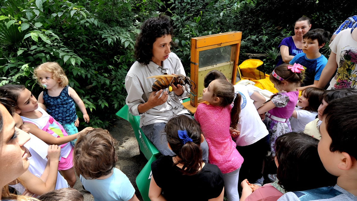 Anza Api Perché sin da bambini dobbiamo apprendere l'importanza delle api?