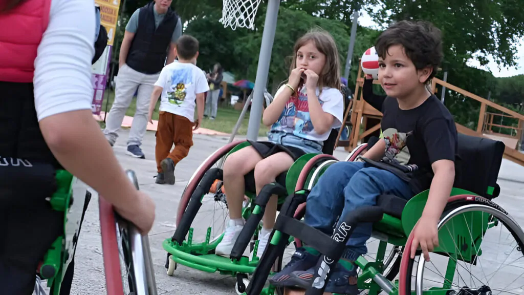 disabilità