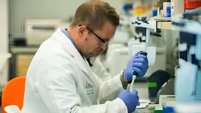 terapie contro il cancro